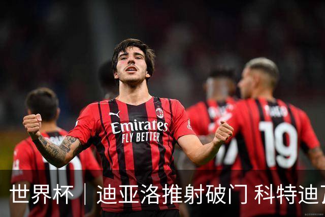世界杯｜迪亚洛推射破门 科特迪瓦队绝杀厄瓜多尔队