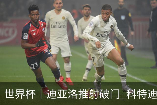 世界杯｜迪亚洛推射破门 科特迪瓦队绝杀厄瓜多尔队